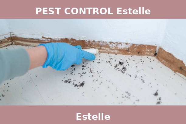 PEST CONTROL Estelle